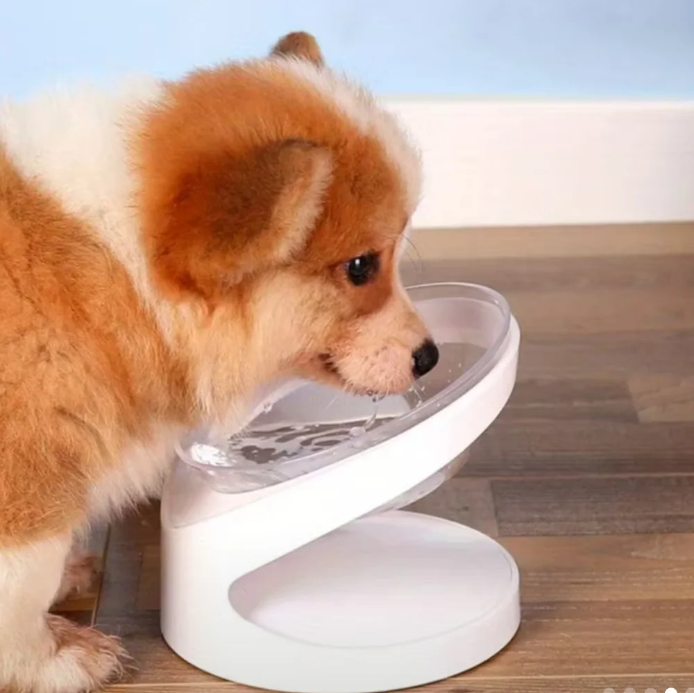 Raised Pet Bowl For Cats & Dogs